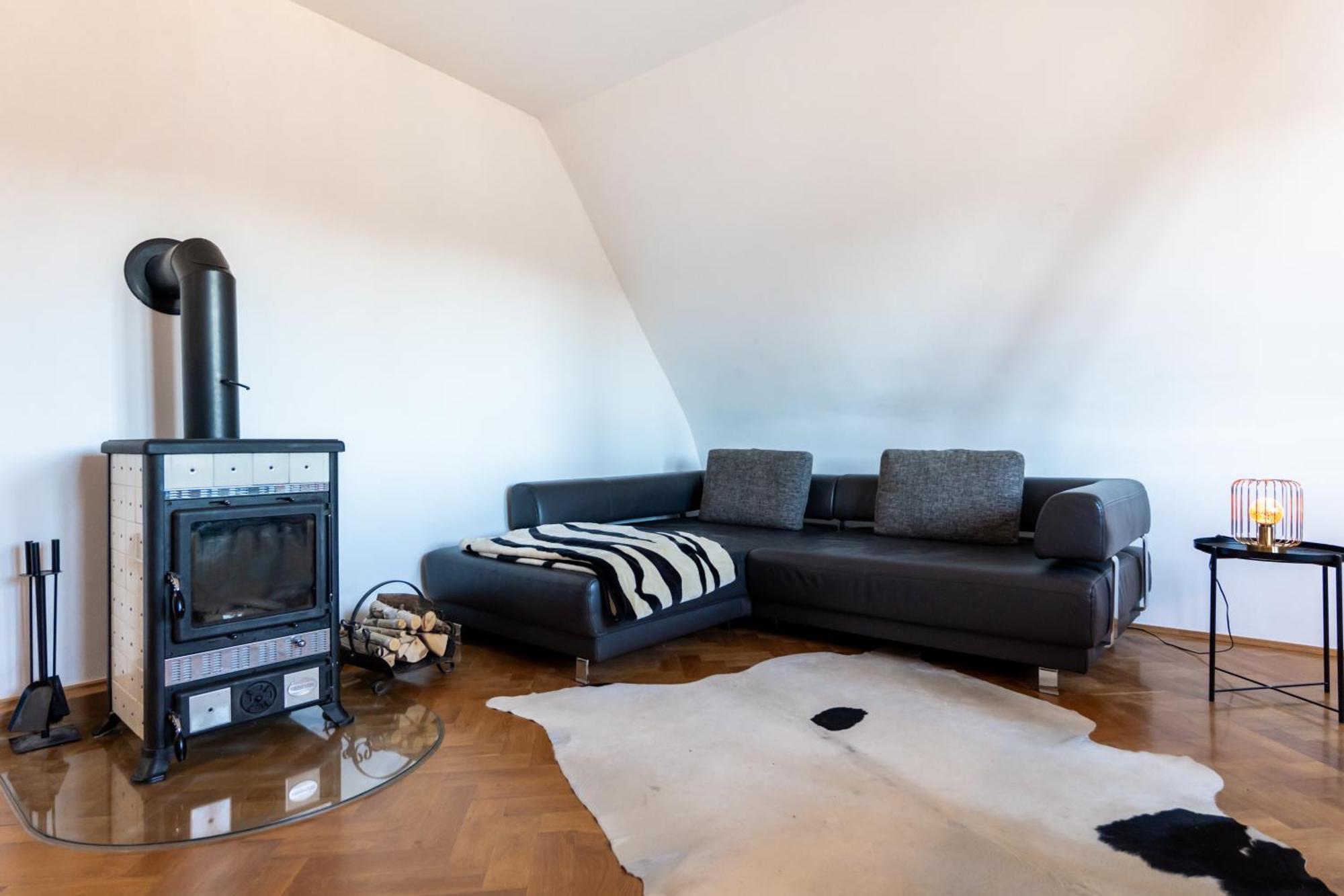 Doppelhaus- Villa Leipzig Schleussig , Moderner Altbau Apartment Dachetage Mit 2 Schlafzimmern Und Separatem Zusatzzimmer , Parkplatz - Balkon - Kamin - Eicheparkett - Arbeitsplatz 外观 照片